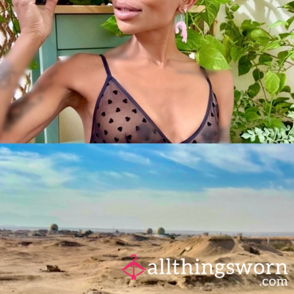 ★ "ᴀ ʟᴜxᴇ ᴏᴀꜱɪꜱ ɪɴ ᴛʜᴇ ᴅᴇꜱᴇʀᴛ" X 10 (ᴛᴀꜱᴛᴇʀꜱ ɪɴᴄ ꜰᴜʟʟʏ ɴᴜᴅᴇ)- 24ʜʀꜱ ᴀᴄᴄᴇꜱꜱ - £7.50 ★