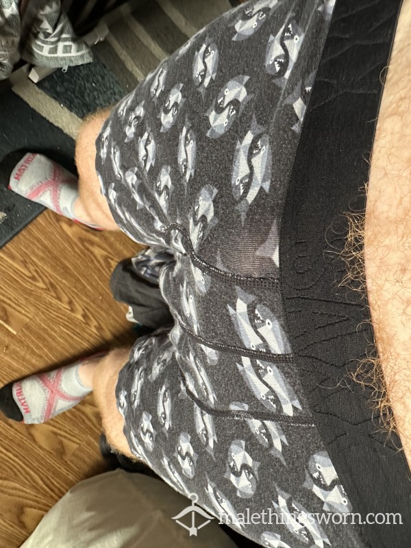 XL SAXX Shark Underwear
