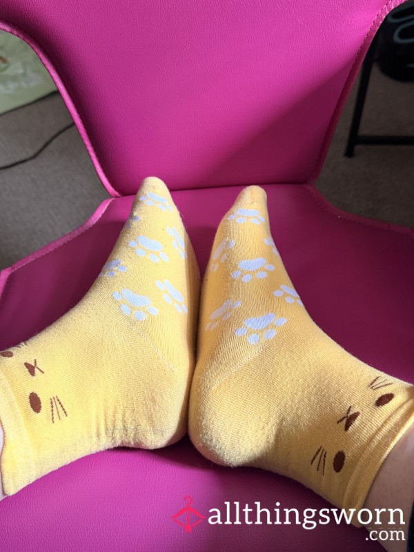 Yellow Cat Socks