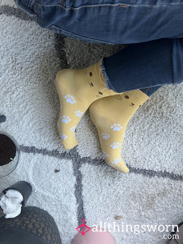 Yellow Cat Socks