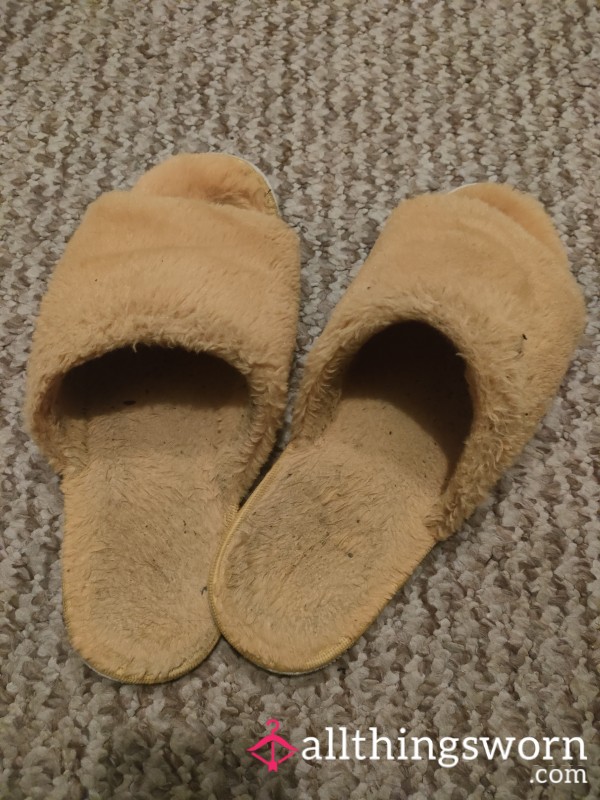 Yellow Slipper Well Worn