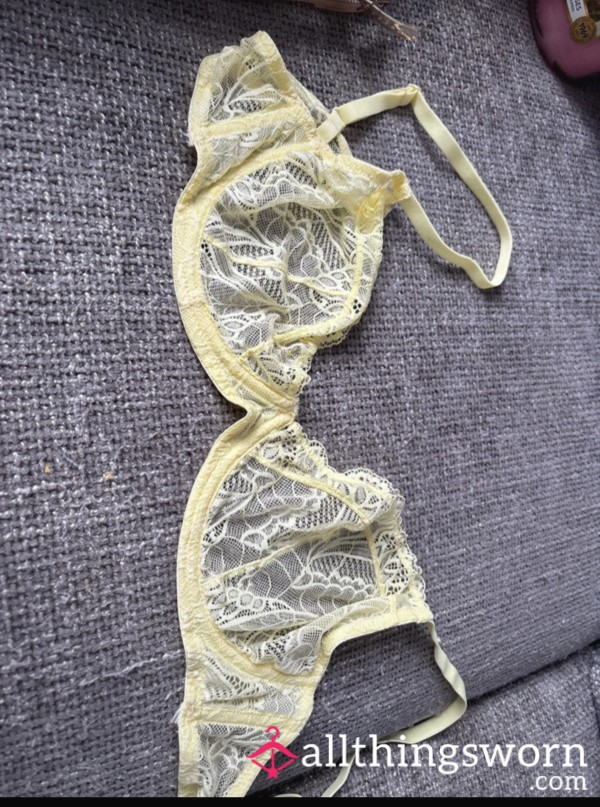 Your Dream Bra