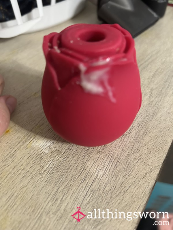 Your Own Rose Shipped