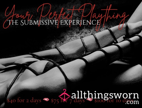 Your Perfect Plaything — The Submissive Experience