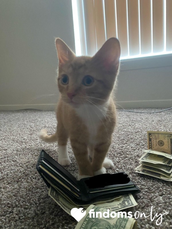 Your Wallet Makes My Pu**y Wet