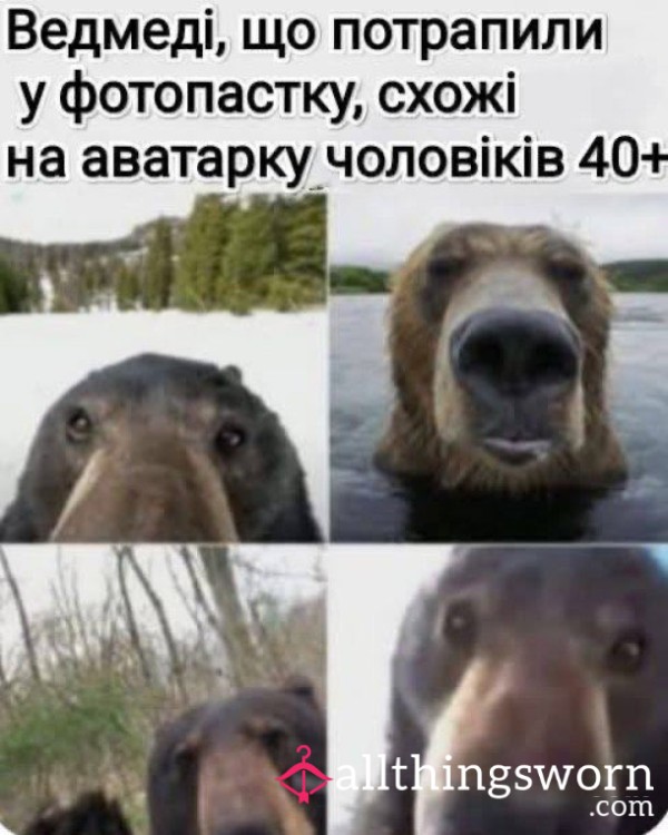 6fthayward