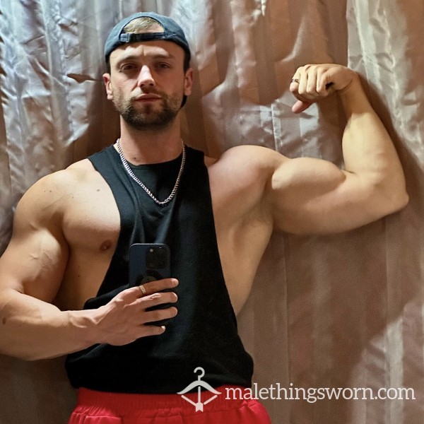 Alphabullalex