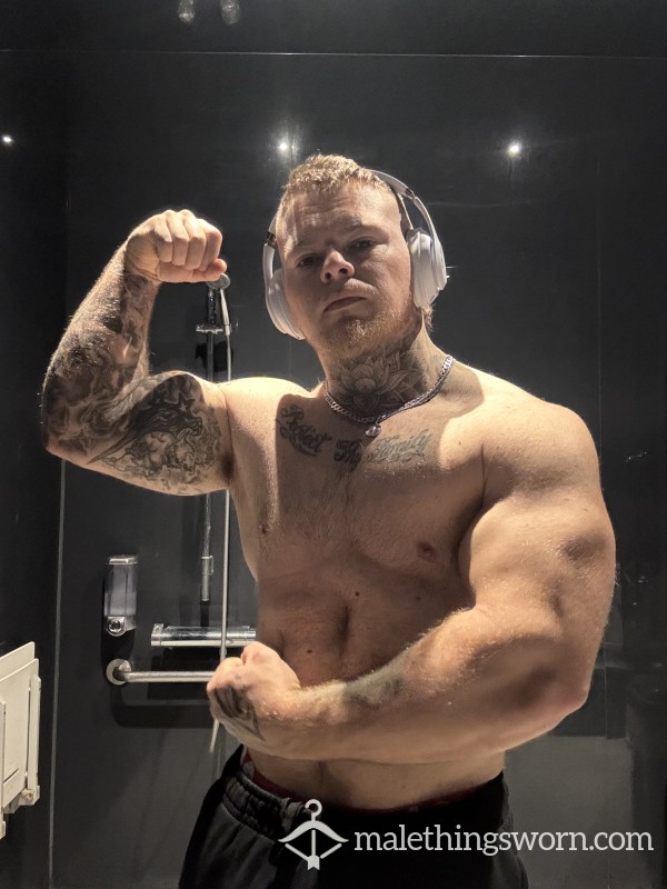 Alphajackedd