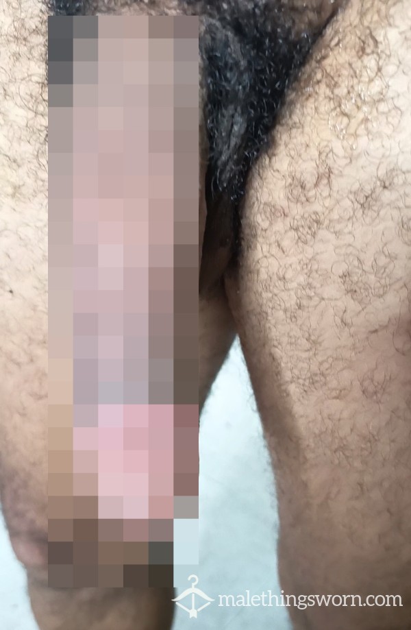 AlphaLatinKing