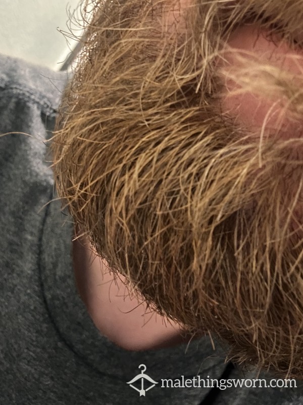 Beardedboss