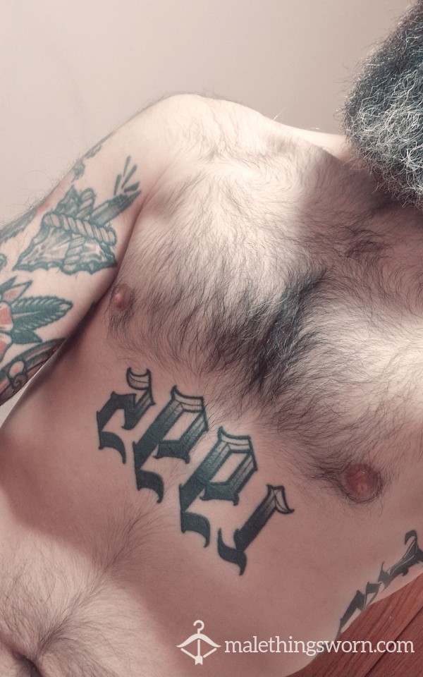 BeardedTeddy