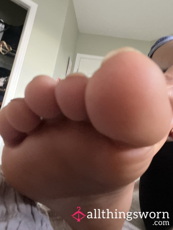 Bleustaci