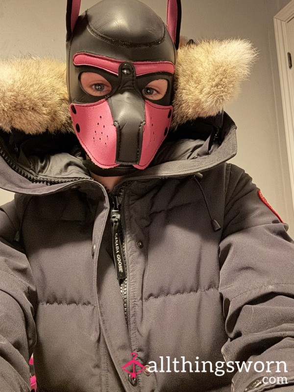 FluffyBetaPup