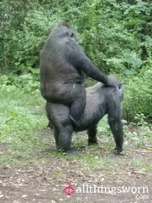 BuckNekkid