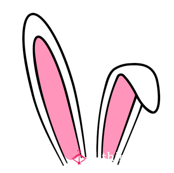 BunnyXo01