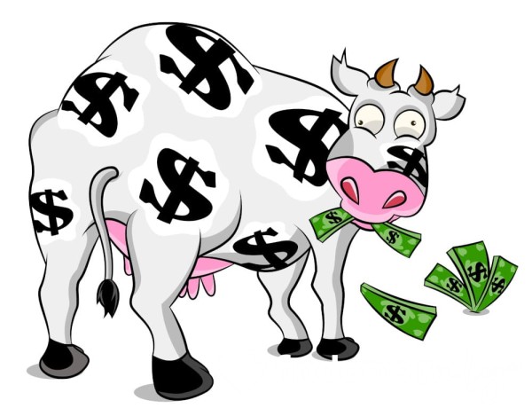 CashCowMoo