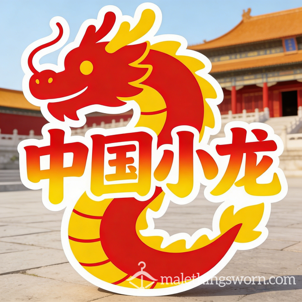 Chinaxiaolong