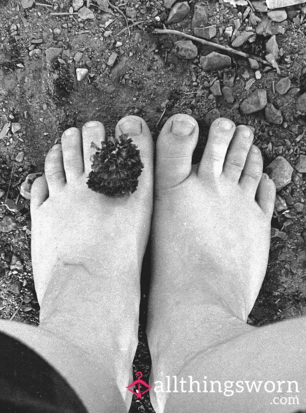 ChubbyToes22