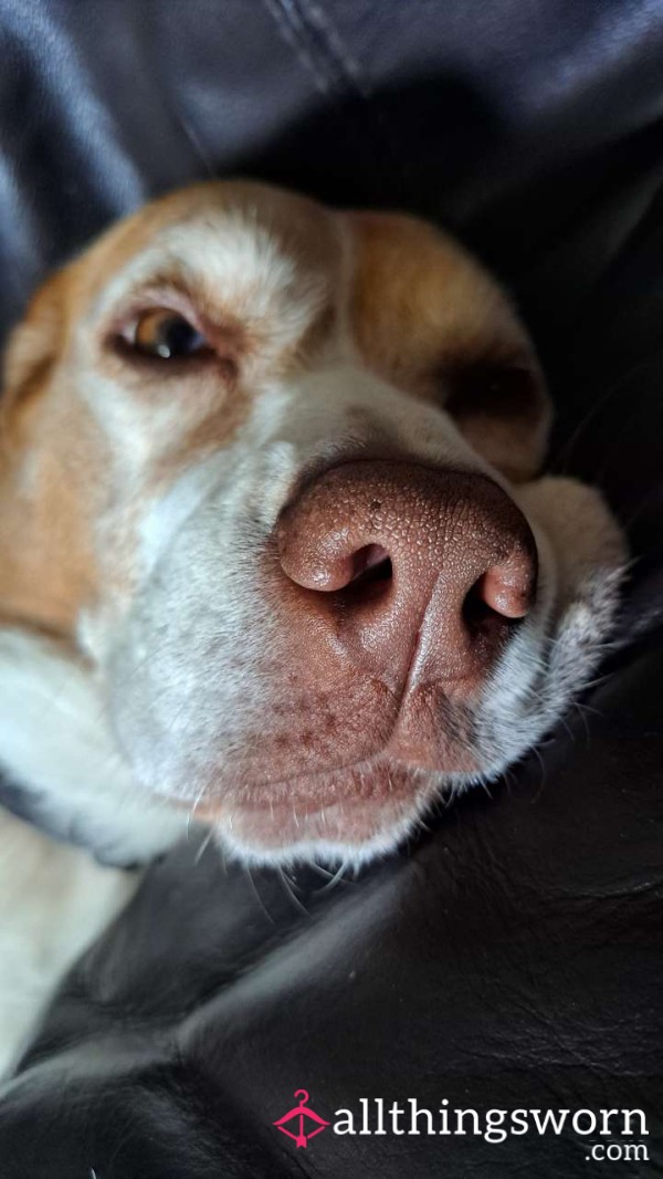 Col