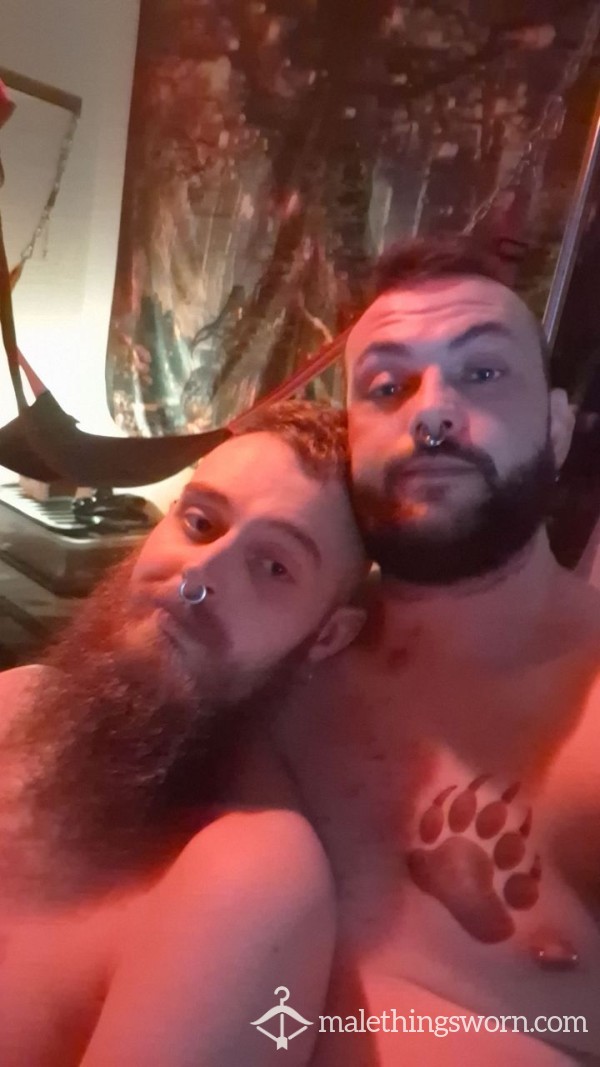 Cubpig94