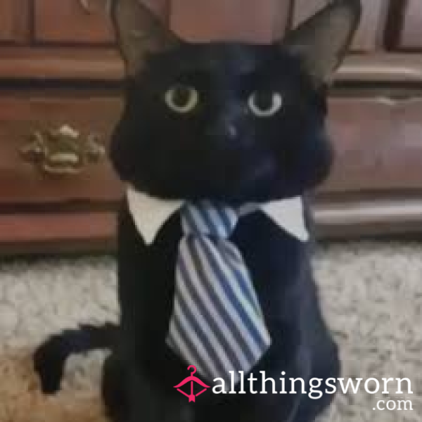CuckoldCat