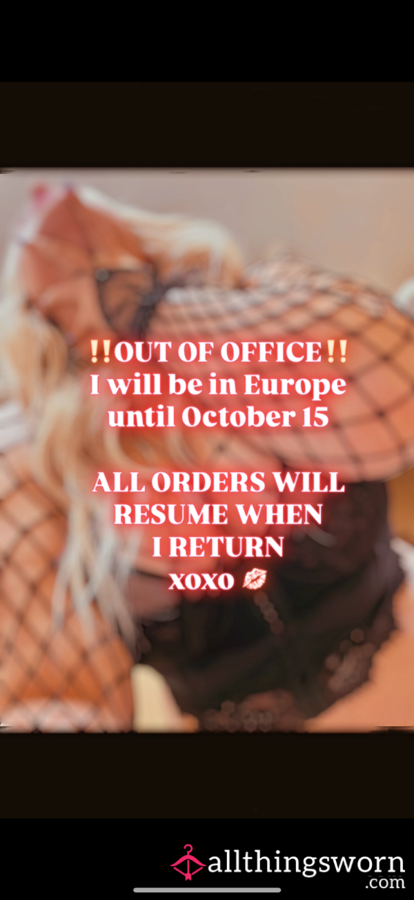 CurvyCorporateKitten