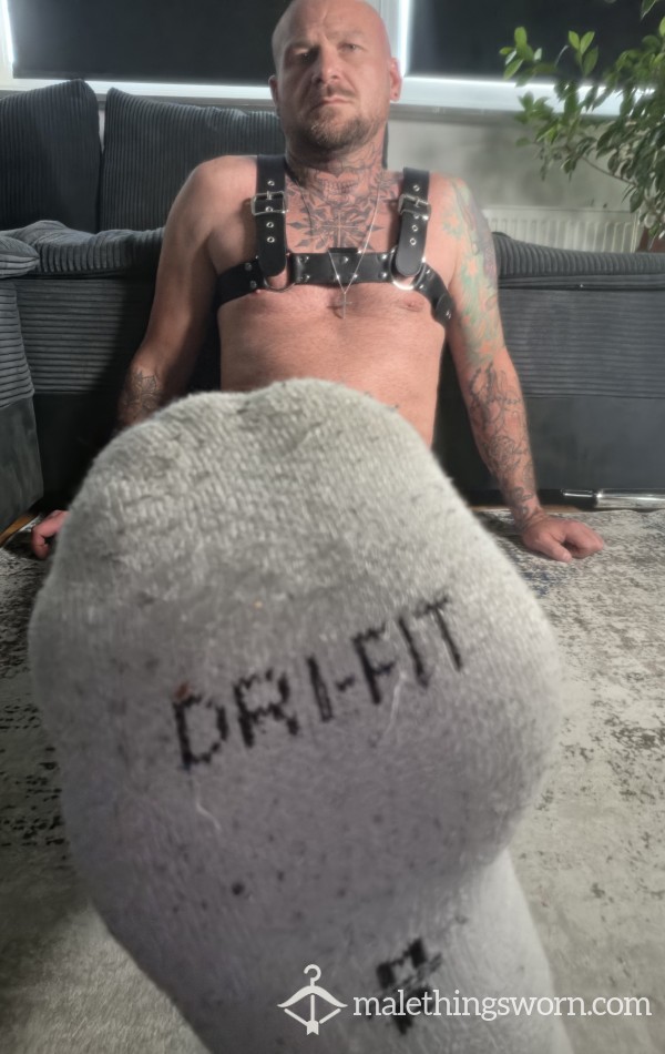 DaddyTomxxx