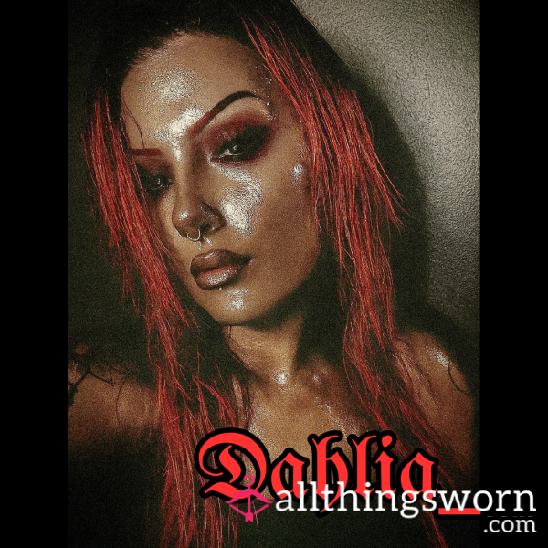 Dahlia_