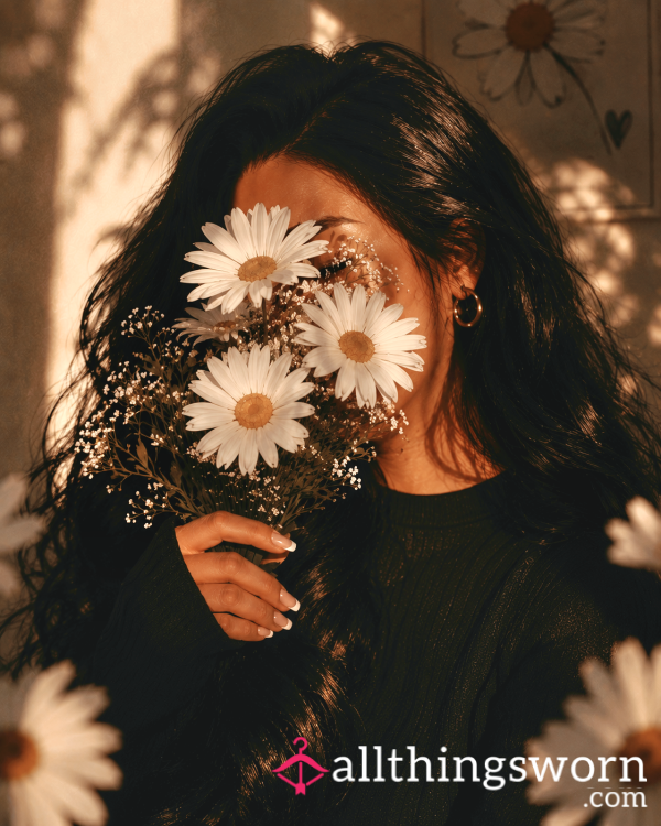 DaisyDolly1