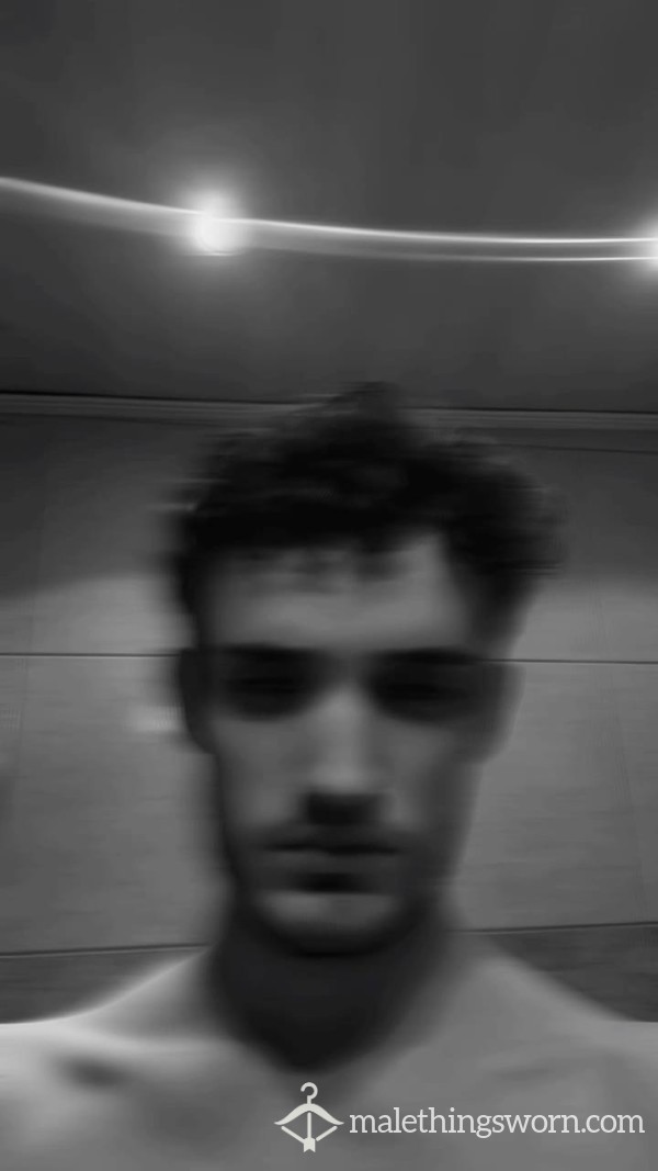 DomCEO