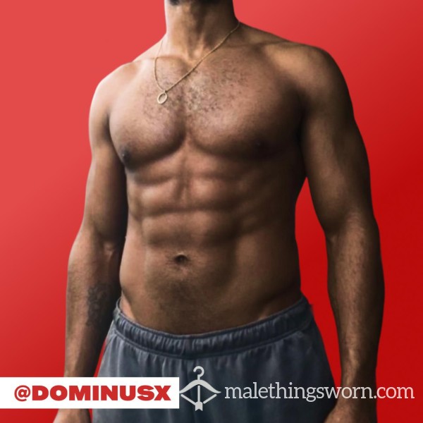 DominusX_designer