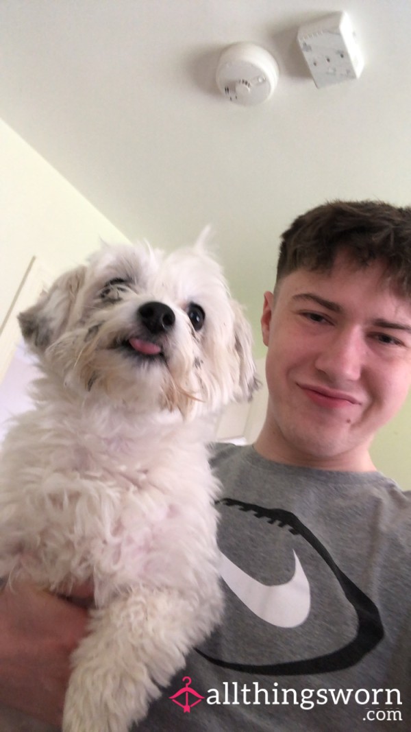 Dylanxo