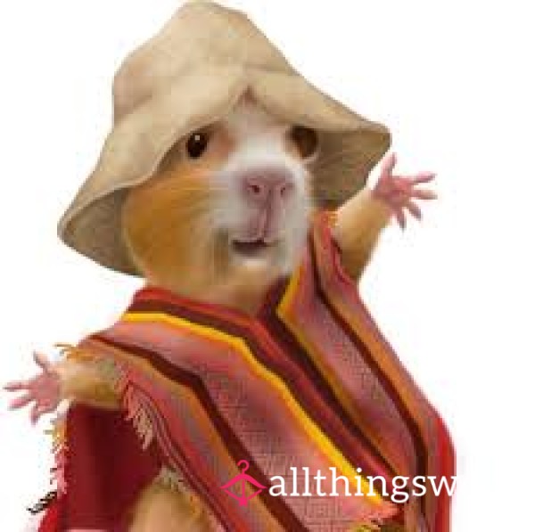 Ecuadorista