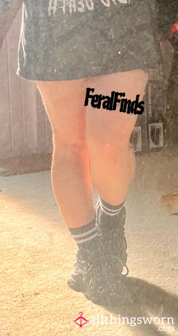 FeralFinds