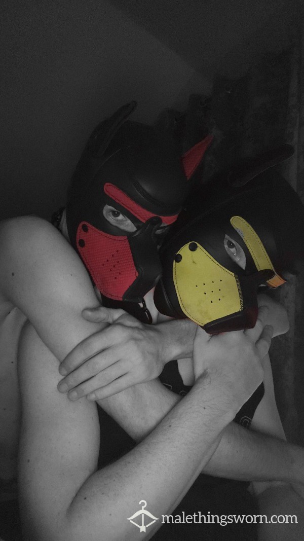 Filthy_Pups