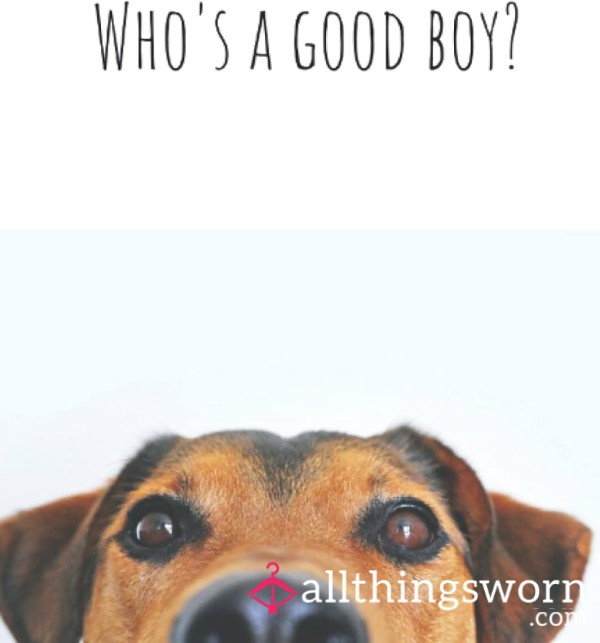Fredthedog