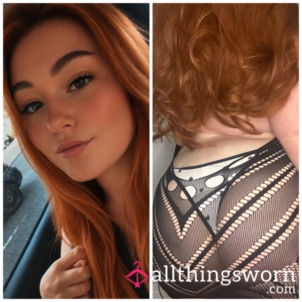 GingerBxO