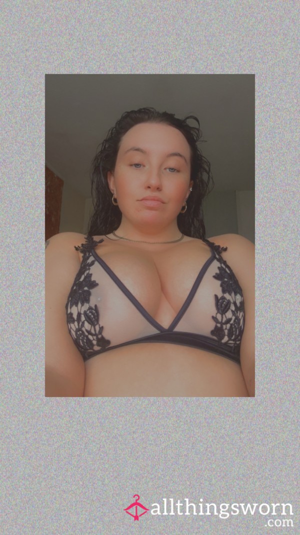 Hollyanne