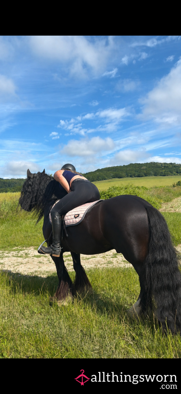 Horsegirl45