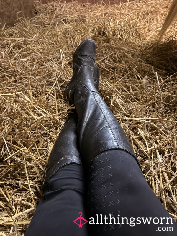 Horsegirlx