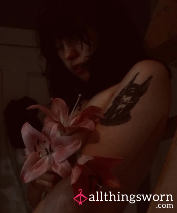Hunnybunny69
