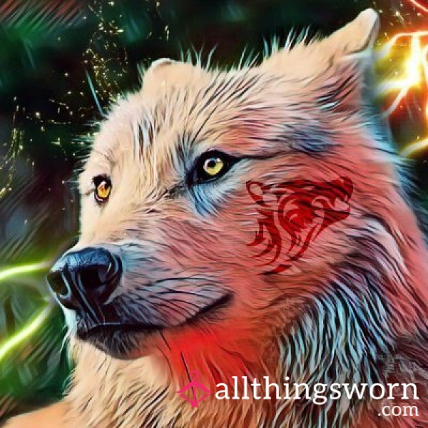 AllThingsWorn profile picture for @Jungo