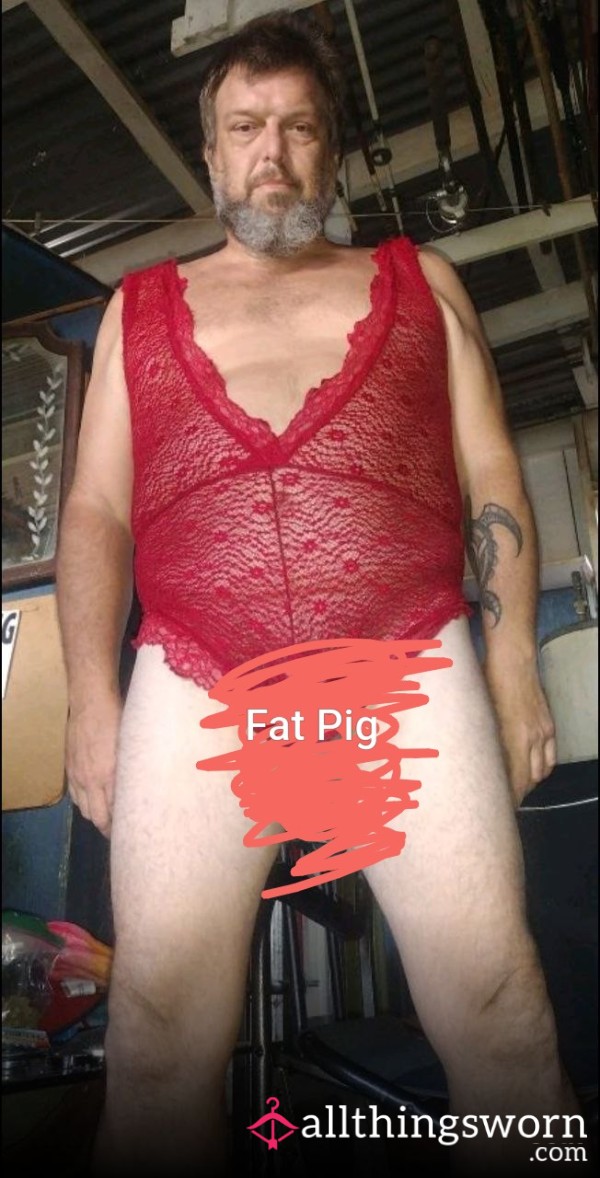 Kauaipig