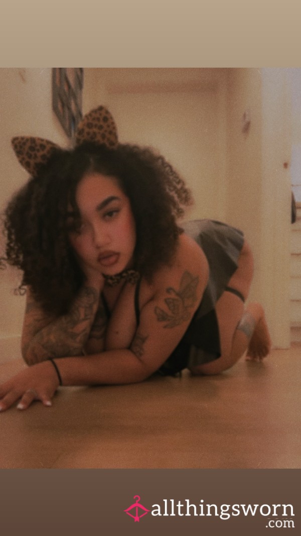 Kayliesback