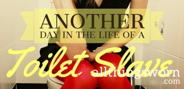 Ladiestoilet