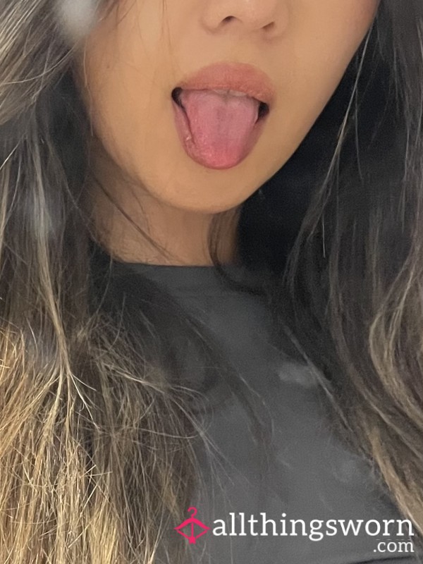 LilyAries