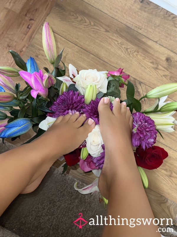 Lilyrose111