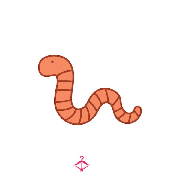 Little_worm