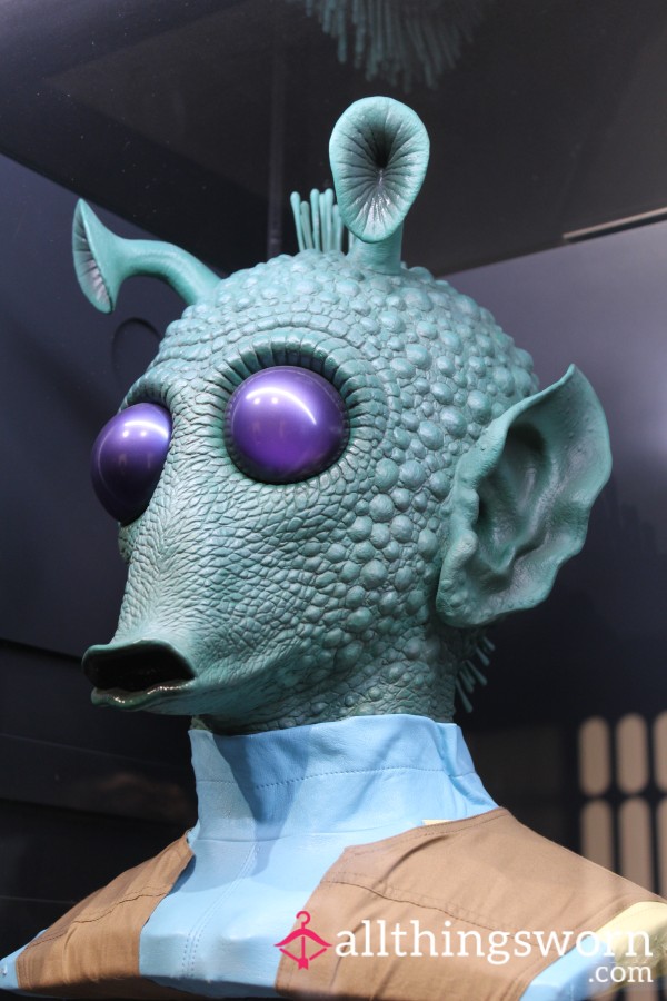 Mandragora