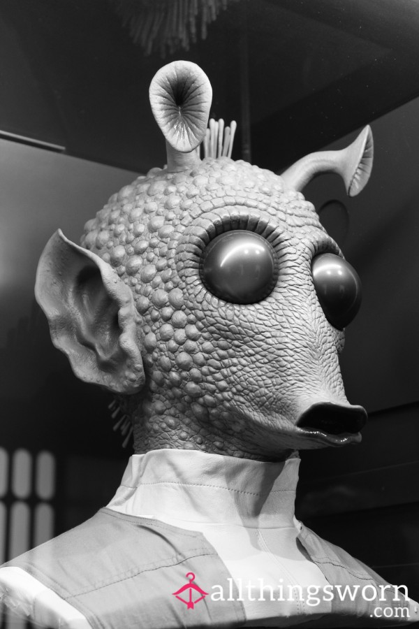 Mandragora